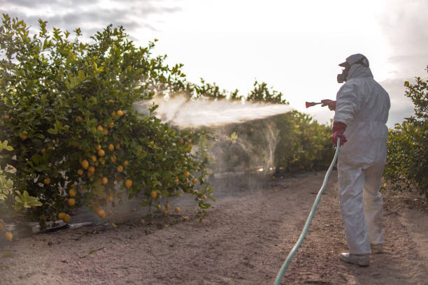 Best Affordable Pest Control Services  in Marion Oaks, FL