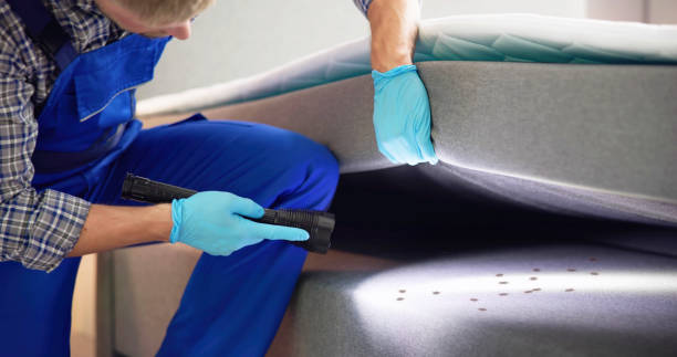 Best Pest Control Treatment  in Marion Oaks, FL